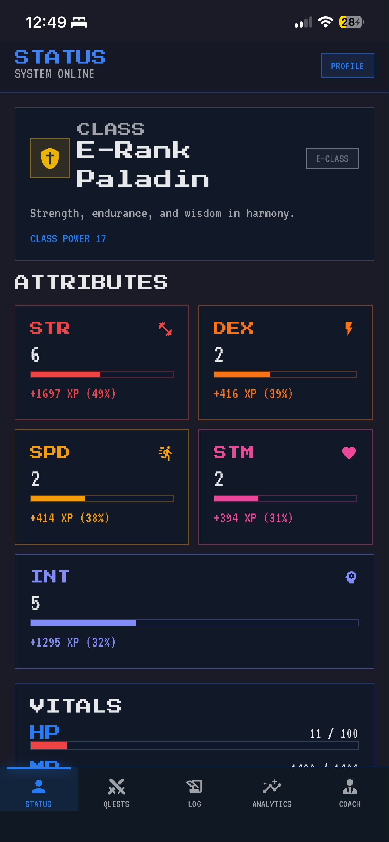 Respawn STATUS screen showing the E-Rank Paladin class card and the STR, DEX, SPD, STM, INT attribute cards with XP bars.
